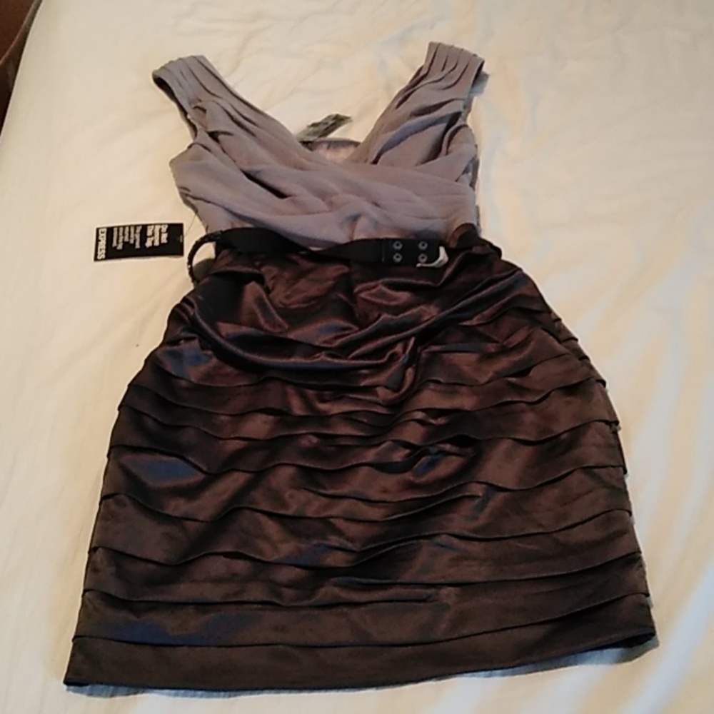 🎆Nwt express dress